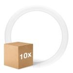 Lot 10x Ledvance Tube LED T9 Value Circulaire (EM/Direct 230V) 18.3W 2200lm - 840 Blanc Froid | Équivalent 32W