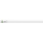 Philips MASTER LED Tube T8 (EM/Direct 230V) Ultra Efficiency 11.9W 2500lm - 865 Lumière Du Jour | 120cm - Équivalent 36W