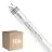 Lot 10x Philips Tube LED T8 CorePro (UN) High Output 8W 900lm - 840 Blanc Froid | 60cm - Équivalent 18W