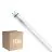 Lot 10x Philips Master Tube LED T8 (EM/Direct 230V) High Output T8 11.3W 2100lm - 865 Lumière Du Jour | 120cm - Équivalent 36W