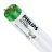 Philips MASTER TL-D Actinic BL 15W - Ultra-Violet | 44cm
