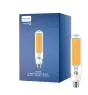 Philips TrueForce Public (Street – SON) Master LED SON-T M E27 28.5W 5400lm 300D - 727 Blanc Très Chaud