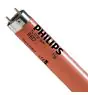 Philips MASTER TL-D 36W - Rouge | 120cm