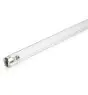 Philips T8 UV - C 36W - Ultra-violet | 120cm