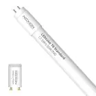 Noxion Tube LED T8 Avant (EM/Direct 230V) Standard Output 15W 1800lm - 840 Blanc Froid | 120cm - Équivalent 36W