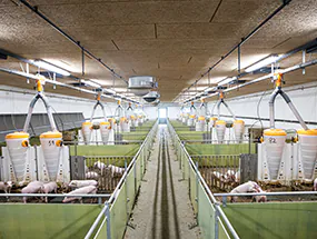 meilleur éclairage agricole