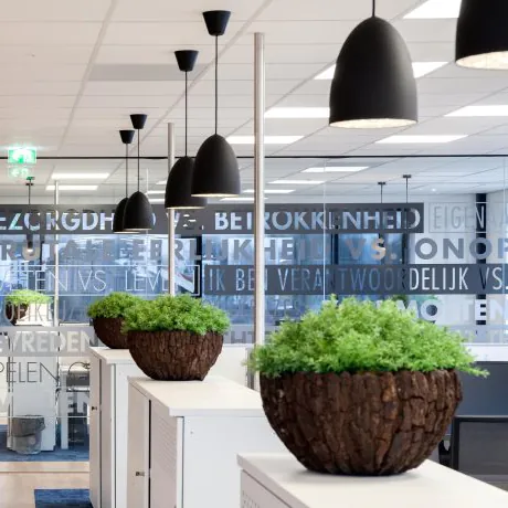 Solutions d'éclairage DALI pour bureaux